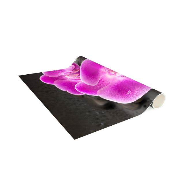 Modern rugs Pink Orchid Flower On Stones With Drops