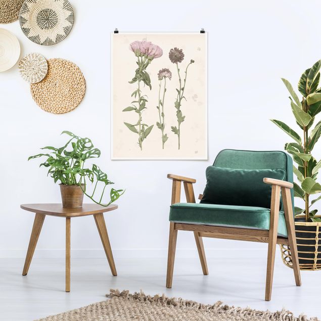 Poster flowers - Herbarium In Pink III