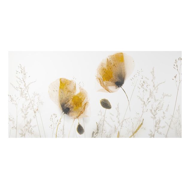 Print on aluminium - Poppy Flowers And Delicate Grasses In Soft Fog