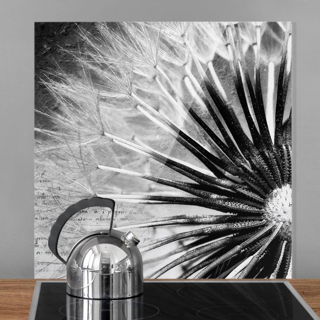 Glass splashback flower Dandelion Black & White