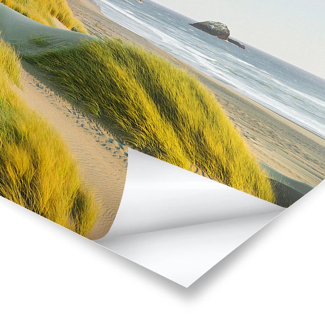 Panoramic poster beach - Dunes And Grasses At The Sea