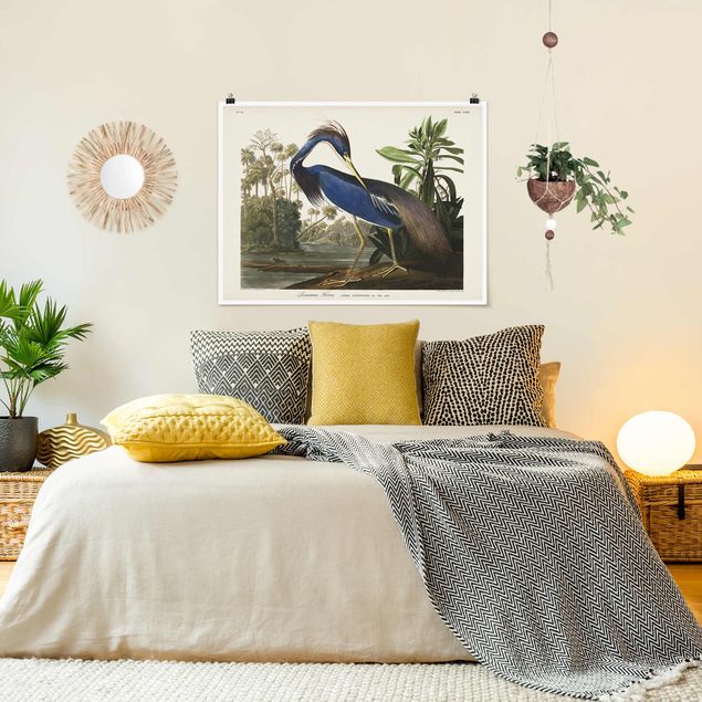 Poster - Vintage Board Louisiana Heron