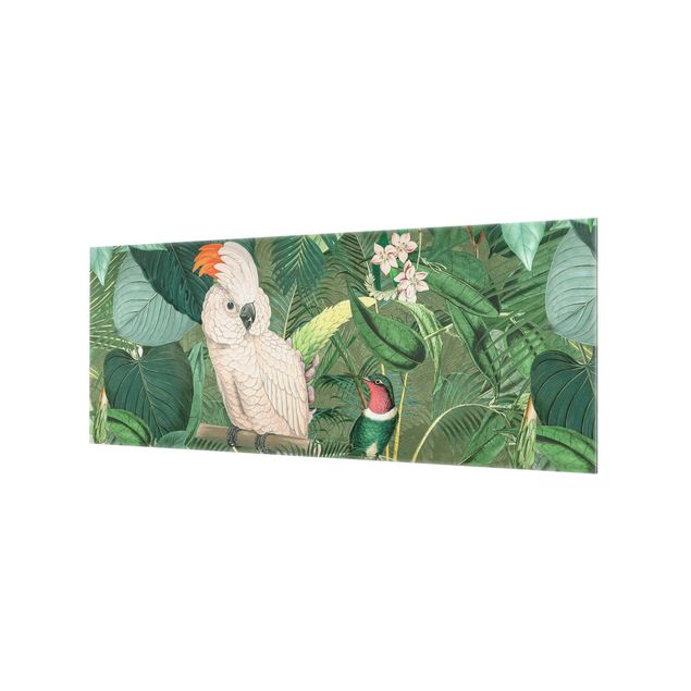Splashback - Vintage Collage - Kakadu And Hummingbird