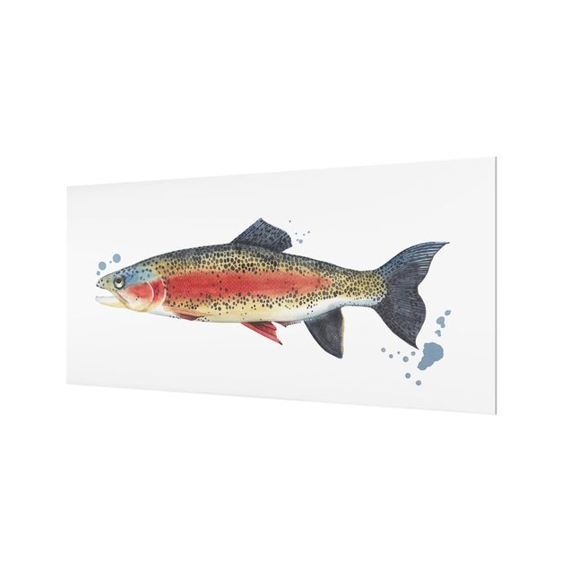 Splashback - Color Catch - Trout