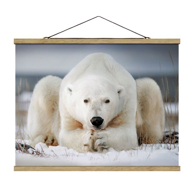 Fabric print with poster hangers - Contemplative Polar Bear