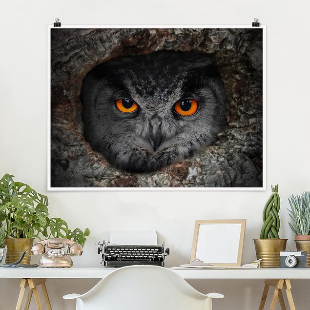Poster - Watching Owl