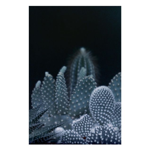 Magnetic memo board - Familiy Of Cacti At Night