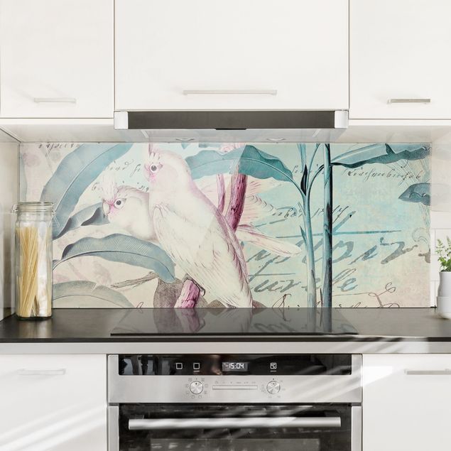 Glass splashback kitchen flower Colonial Style Collage - Cockatoos And Palm Trees