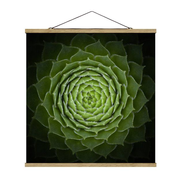 Fabric print with poster hangers - Mandala Succulent