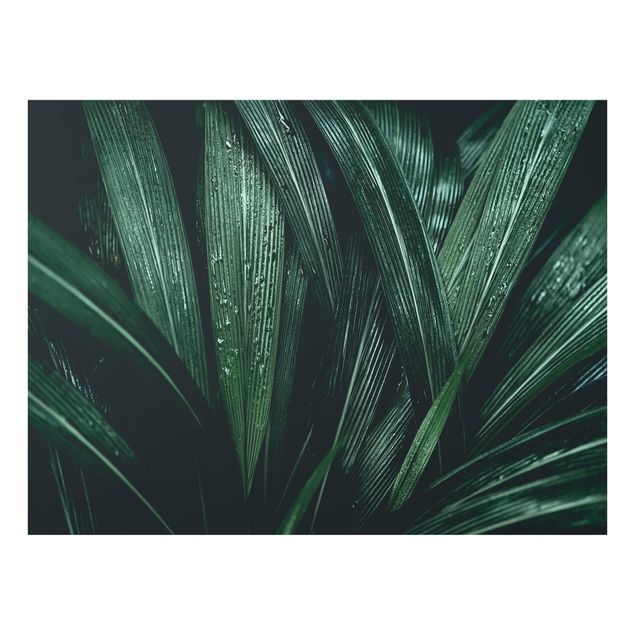 Glass Splashback - Green Palm Leaves - Landscape 3:4