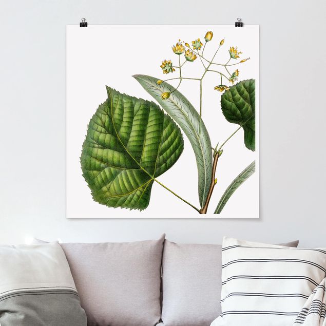 Poster - Foliage With Flowers I