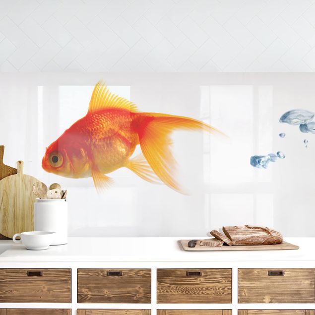 Kitchen splashback animals Goldfish