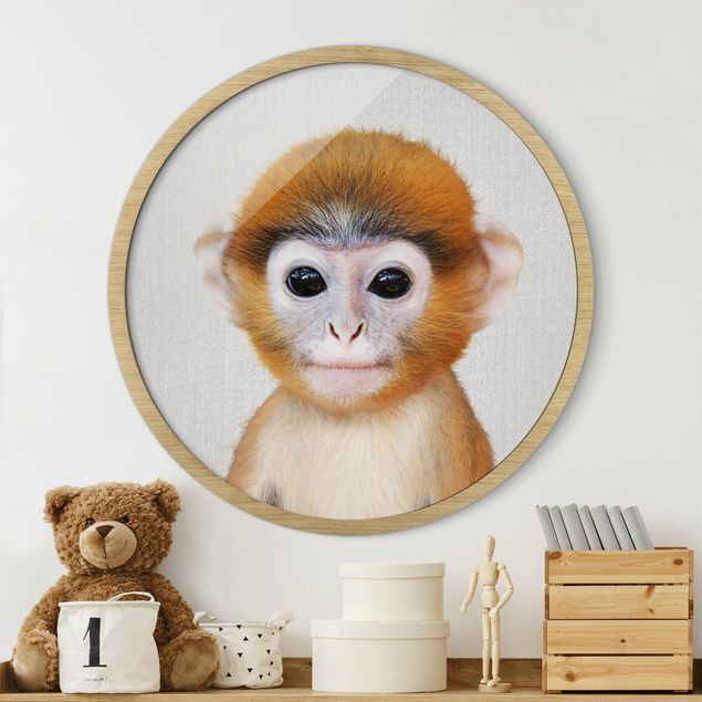 Framed prints round Baby Monkey Anton