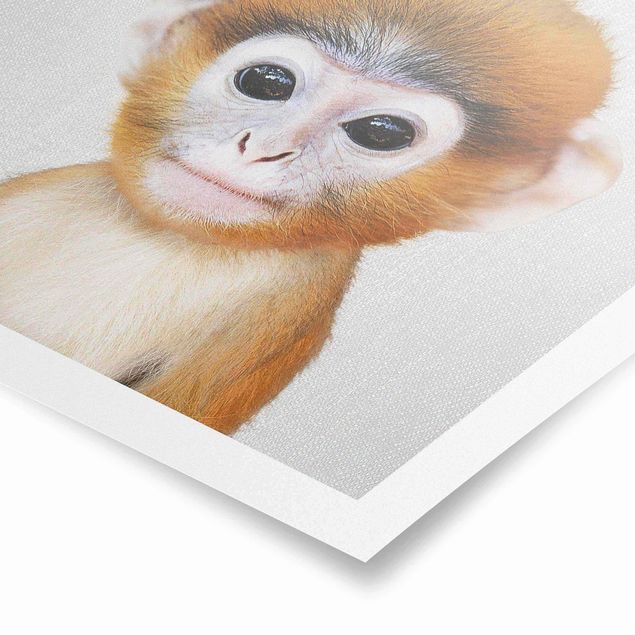 Poster art print - Baby Monkey Anton
