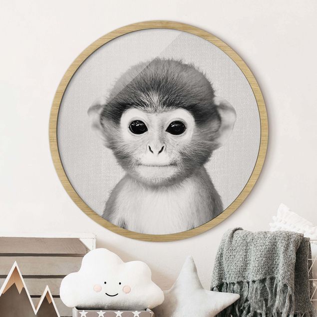 Framed prints round Baby Monkey Anton Black And White