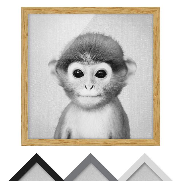 Framed poster - Baby Monkey Anton Black And White