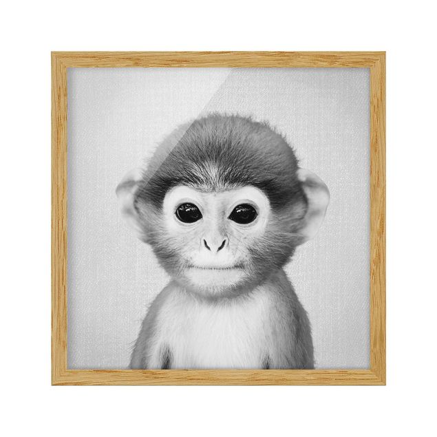 Framed poster - Baby Monkey Anton Black And White