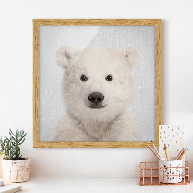 Framed poster - Baby Polar Bear Emil