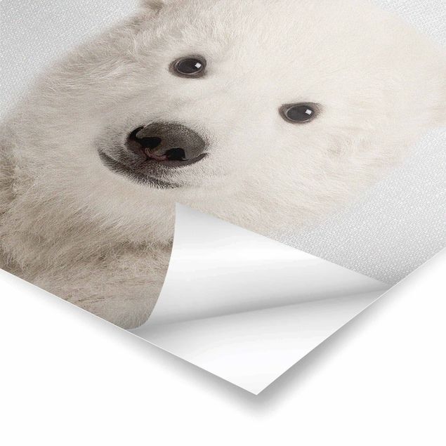 Poster art print - Baby Polar Bear Emil