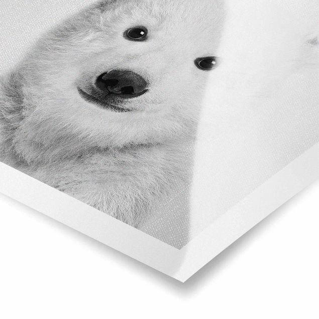 Poster art print - Baby Polar Bear Emil Black And White