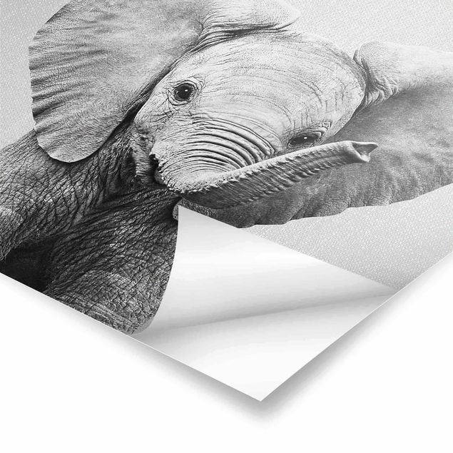 Poster art print - Baby Elephant Elsa Black And White