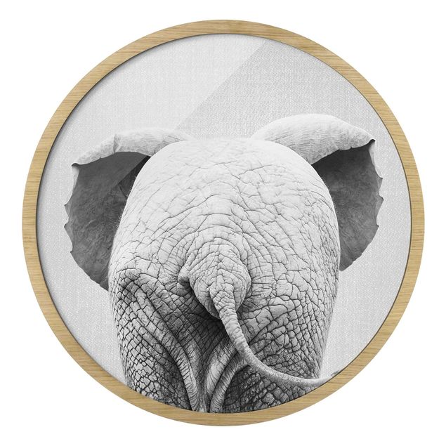Circular framed print - Baby Elephant From Behind Black And White