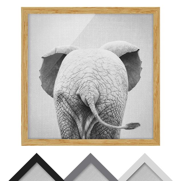 Framed poster - Baby Elephant From Behind Black And White