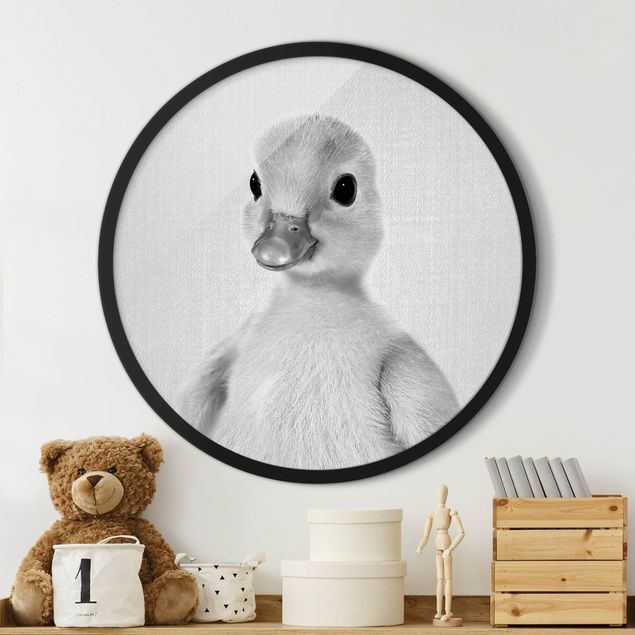 Framed prints round Baby Duck Emma Black And White