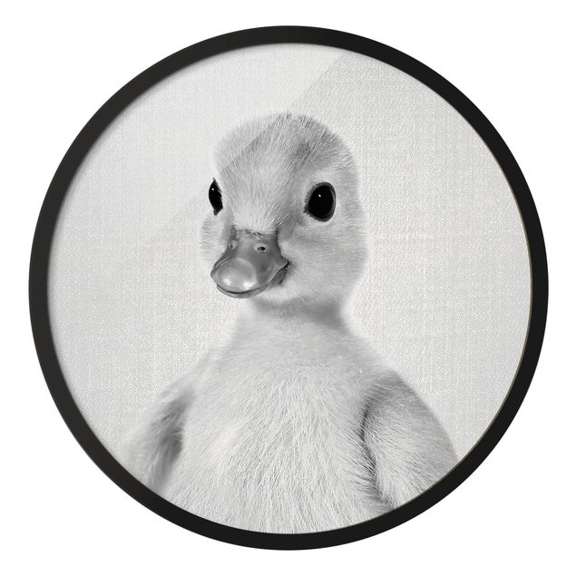 Circular framed print - Baby Duck Emma Black And White