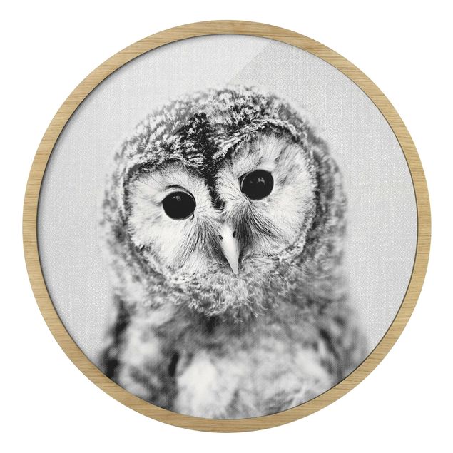 Circular framed print - Baby Owl Erika Black And White