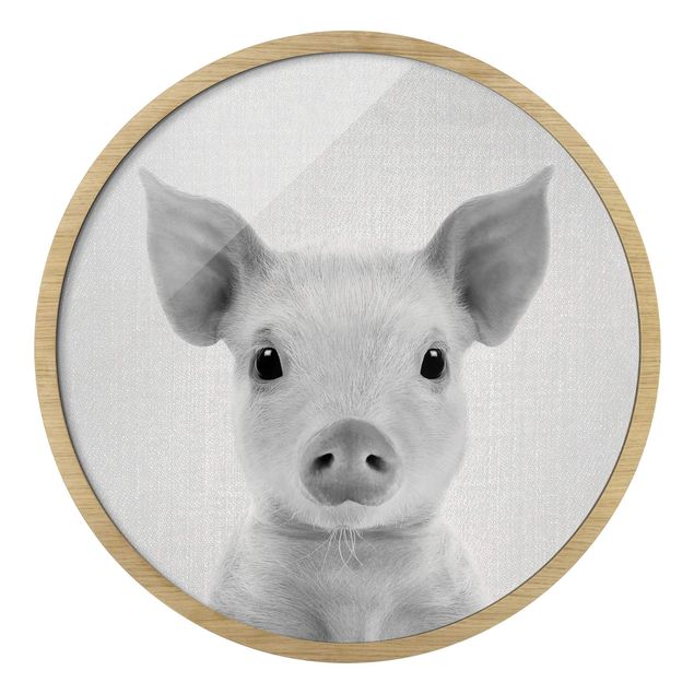 Circular framed print - Baby Piglet Fips Black And White