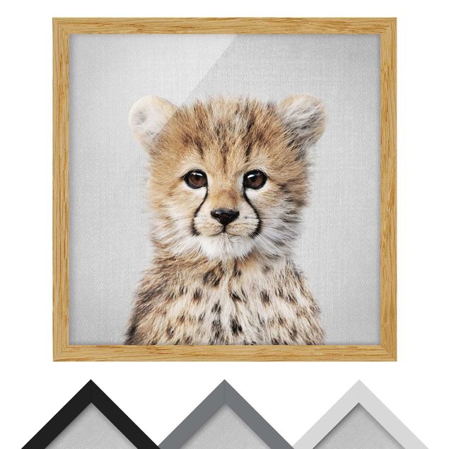 Framed poster - Baby Cheetah Gino