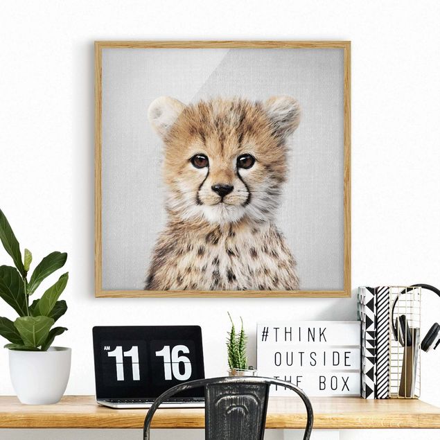 Framed poster - Baby Cheetah Gino