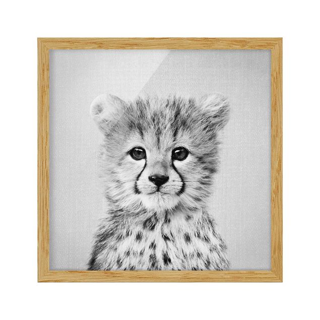 Framed poster - Baby Cheetah Gino Black And White
