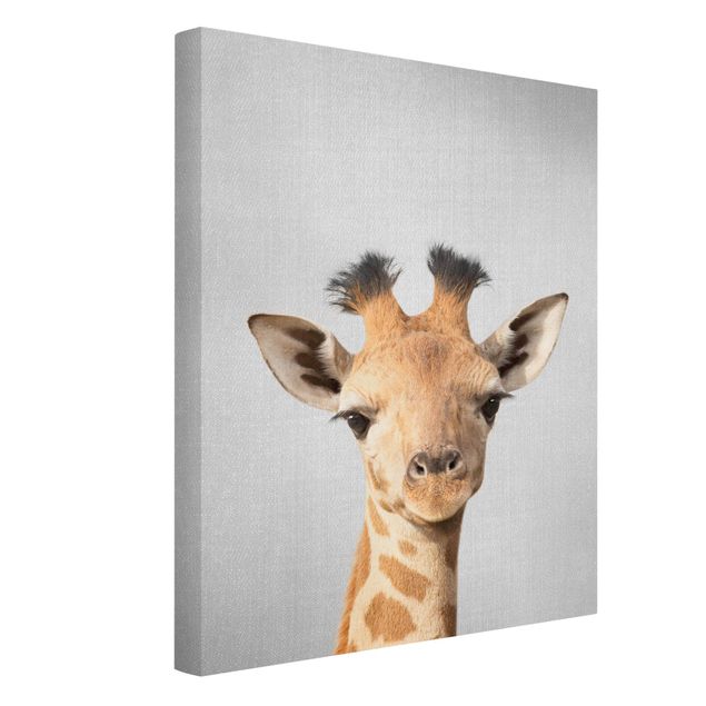 Canvas print - Baby Giraffe Gandalf - Portrait format 3:4
