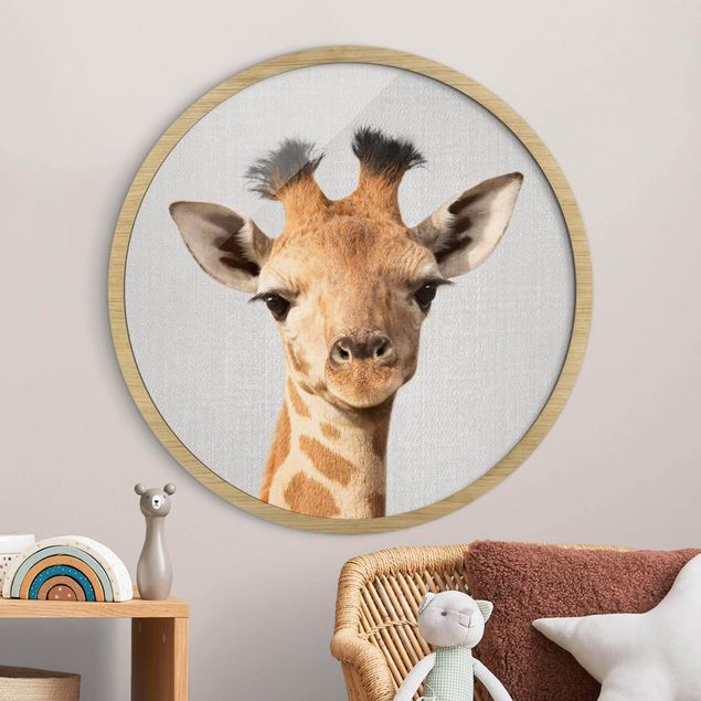 Framed prints round Baby Giraffe Gandalf