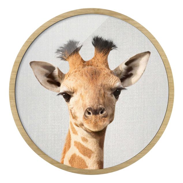 Circular framed print - Baby Giraffe Gandalf