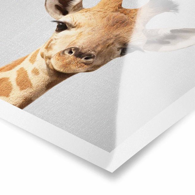 Poster art print - Baby Giraffe Gandalf
