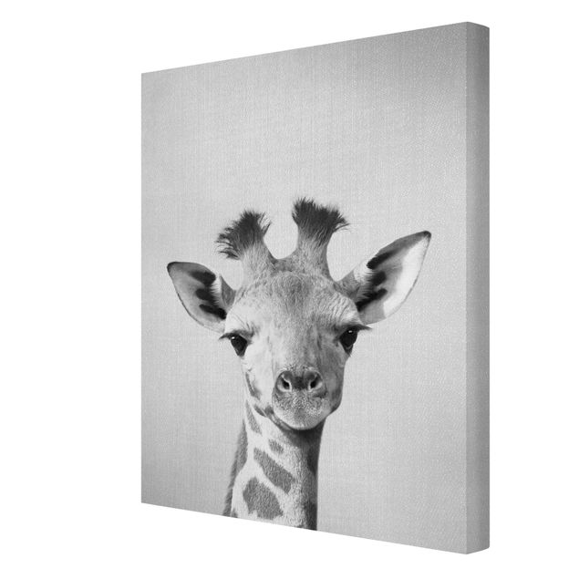 Canvas print - Baby Giraffe Gandalf Black And White - Portrait format 3:4