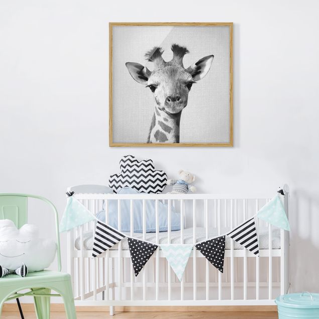 Framed poster - Baby Giraffe Gandalf Black And White