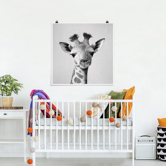 Poster art print - Baby Giraffe Gandalf Black And White