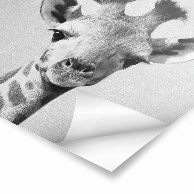 Poster art print - Baby Giraffe Gandalf Black And White