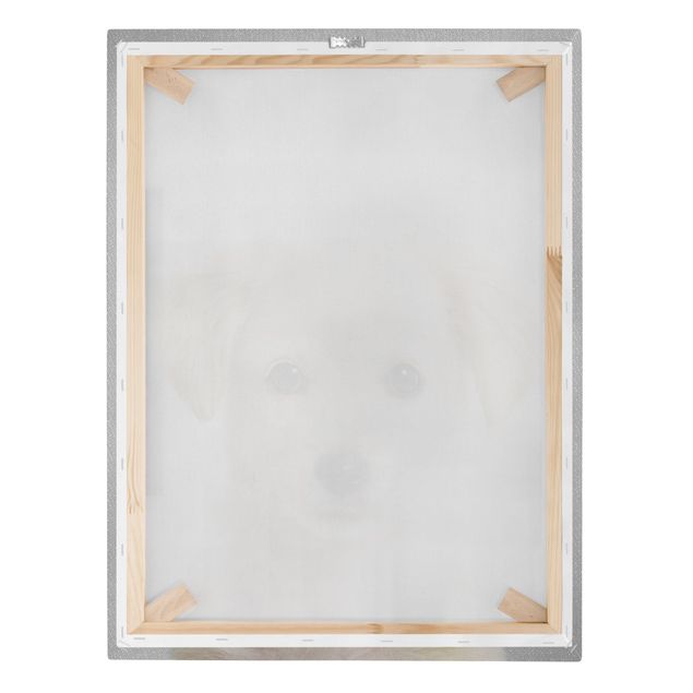 Canvas print - Baby Golden Retriever Gizmo - Portrait format 3:4