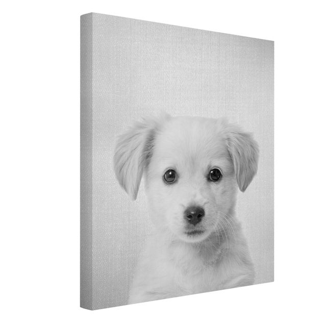 Canvas print - Baby Golden Retriever Gizmo Black And White - Portrait format 3:4