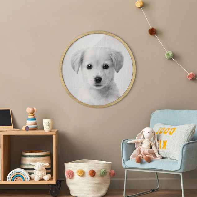 Circular framed print - Baby Golden Retriever Gizmo Black And White