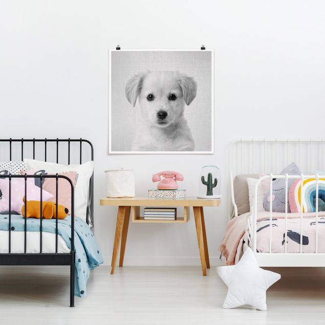 Poster art print - Baby Golden Retriever Gizmo Black And White