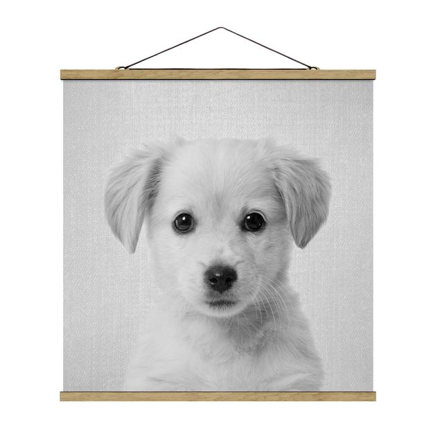 Fabric print with poster hangers - Baby Golden Retriever Gizmo Black And White - Square 1:1