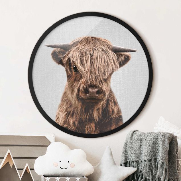 Framed prints round Baby Highland Cow Henri