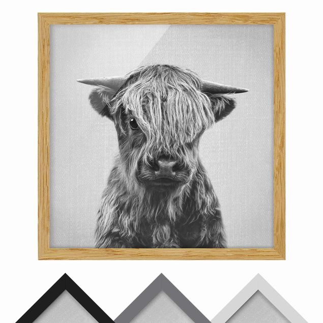 Framed poster - Baby Highland Cow Henri Black And White