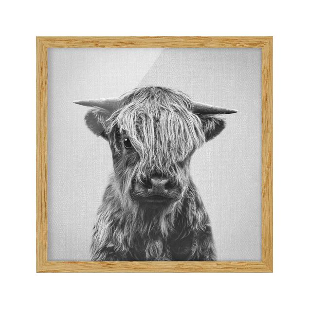 Framed poster - Baby Highland Cow Henri Black And White